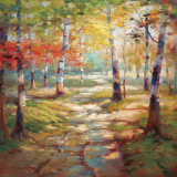 Birch Clearing Prints by Stephen Douglas