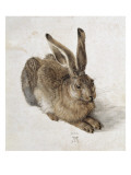 Hare Giclee Print by Albrecht Dürer