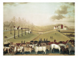 The Cornell Farm Gicléedruk van Edward Hicks The Cornell Farm Gicléedruk van Edward Hicks