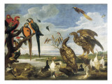 Variety of Birds Impressão giclée por Paul De Vos