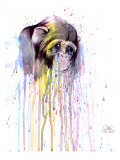 Monkey 4 Giclée-Druck von Lora Zombie