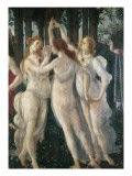 The Spring Giclee Print by Sandro Botticelli