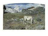 Meadows in Spring Giclee Print by Giovanni Segantini