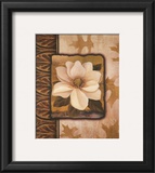 White Gardenia Prints by T. C. Chiu