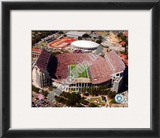 Tiger Stadium - LSU Framed Photographic Print