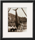 Day's Catch Prints