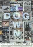 Dogtown and Z-Boys Masterprint