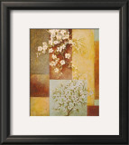 Apple Blossoms Prints by Xavier 