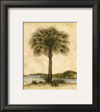 Palm Paradise II Posters by Dianne Krumel