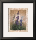 Canterbury Bells Prints by Vivian Flasch