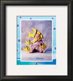 Baby YellowFish Posters by Tom Arma
