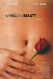 American Beauty Lámina maestra