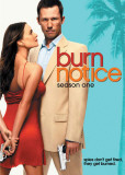 Burn Notice Masterprint