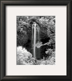 Nature's Jewel I Prints by Mike Jones