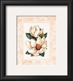 Fleur du Jour, Magnolia Print by Jerianne Van Dijk