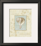 Soothing Words Shells IV Prints by Lisa Audit