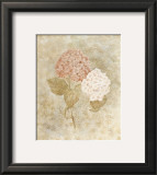 Hydrangea Prints by Valerie Wenk