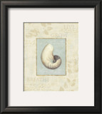 Soothing Words Shells II Posters por Lisa Audit Soothing Words Shells II Posters por Lisa Audit