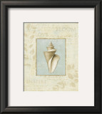Soothing Words Shells III Poster by Lisa Audit