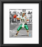 Dan Marino Framed Photographic Print