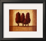 Embossed Cypress Art by Xavier 