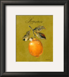 Lemon Posters by Nancy Wiseman