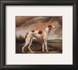 Brown and White Whippit Prints