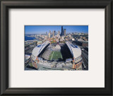 Seattle Seahawks- Quest Field Prints