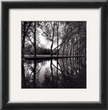 Alle'e d'Honneur, Coarances, France Prints by Michael Kenna