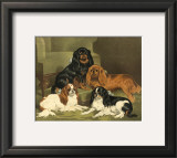 Toy Spaniels Prints by Vero Shaw