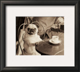 Cafe Pug Prints by Jim Dratfield