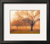 Memory of Trees Poster by M. Ellen Cocose