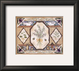 Herbs Poster by Debbie Haviland