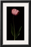 Grace II Print by S. G. Rose