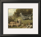 Terriers Posters by Vero Shaw