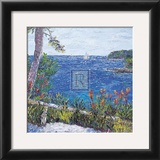 Les Aloes du Cap Prints by T. Forgione