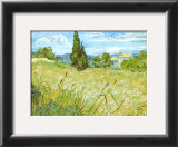 Wheatfield with Cypresses, c.1889 Prints by Vincent van Gogh