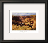 Canyon Mustangs Posters by John Leone
