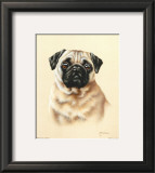 Pug Posters by Judy Gibson