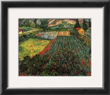 Field of Poppies, Saint-Remy, c.1889 Prints by Vincent van Gogh