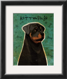 Rottweiler Posters by John Golden