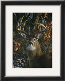 An Autumn Gentleman Poster by Carl Brenders