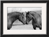 Jose Blinked First Prints by Gregg Albracht
