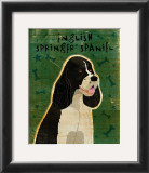 English Springer Spaniel (black and white) Prints by John Golden