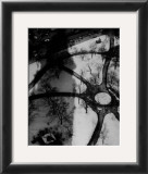 The Octopus Posters by Alvin Langdon Coburn