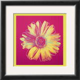 Daisy, c.1982 (Fuschia and Yellow) Poster by Andy Warhol