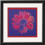 Daisy, c.1982  (blue and red) Prints by Andy Warhol