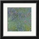 Jewelry Lilies Poster by Claude Monet