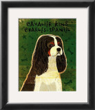 Cavalier King Charles (tri-color) Prints by John Golden
