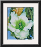 Cup of Silver Ginger, c.1939 Prints by Georgia O'Keeffe